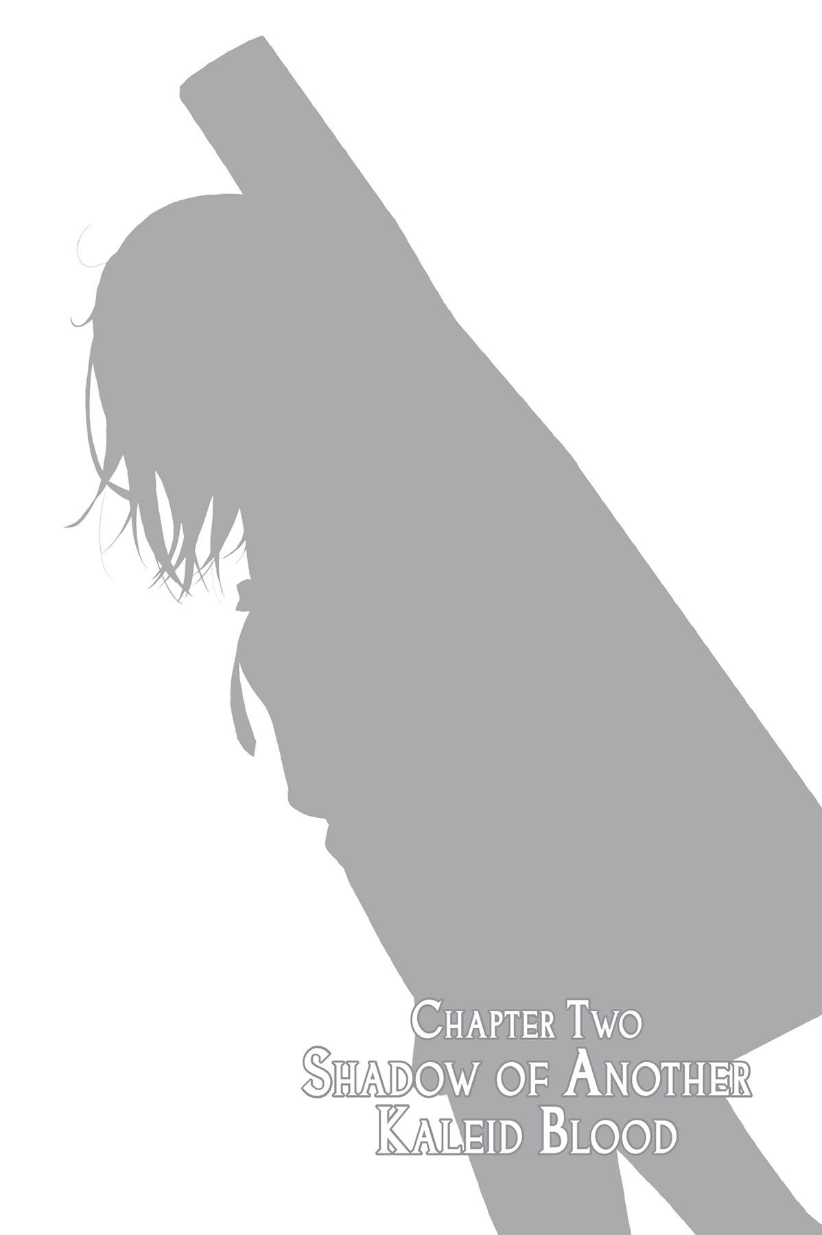 Chapter Two: Shadow of Another Kaleid Blood - 14