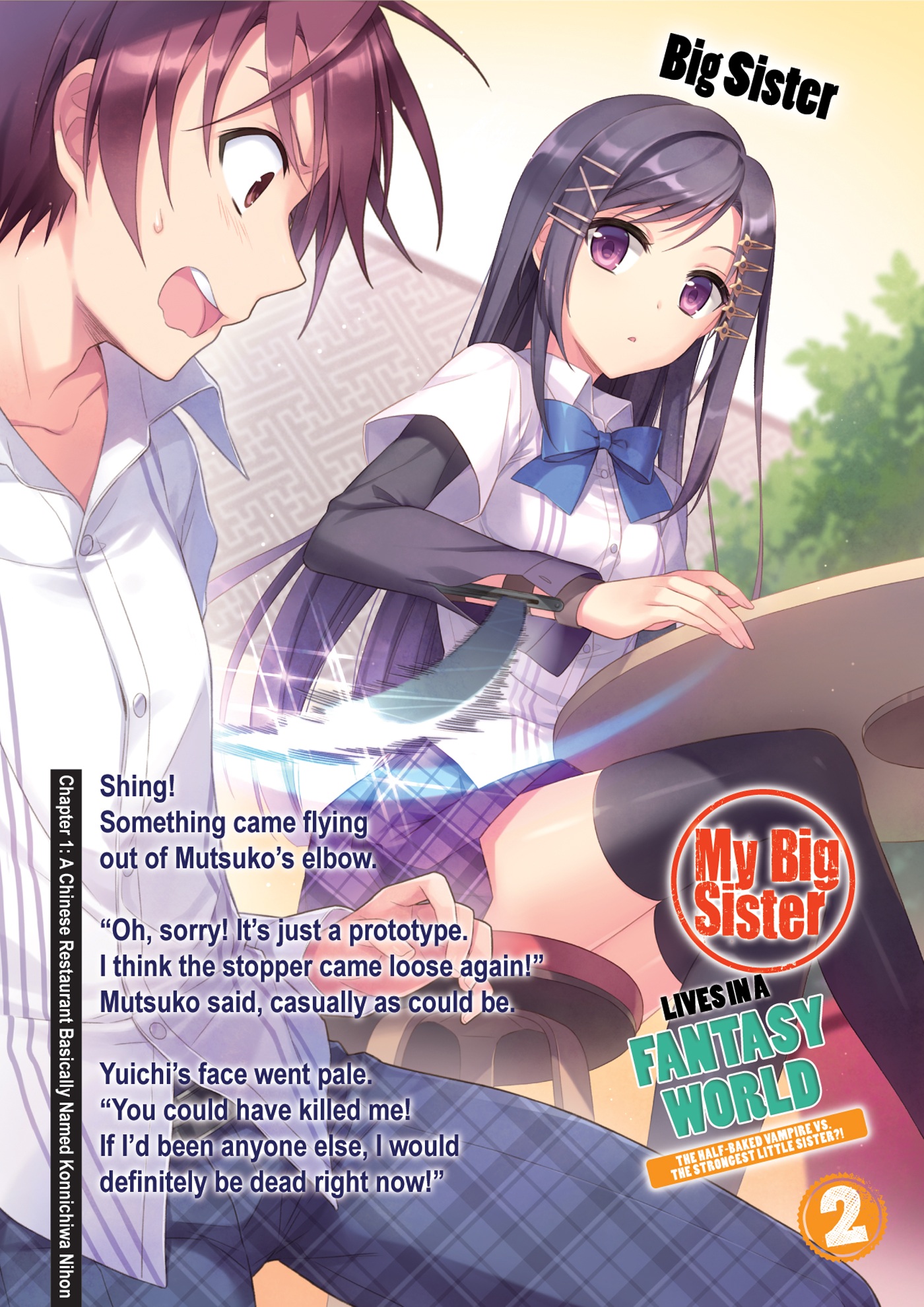 Color Illustrations - 02