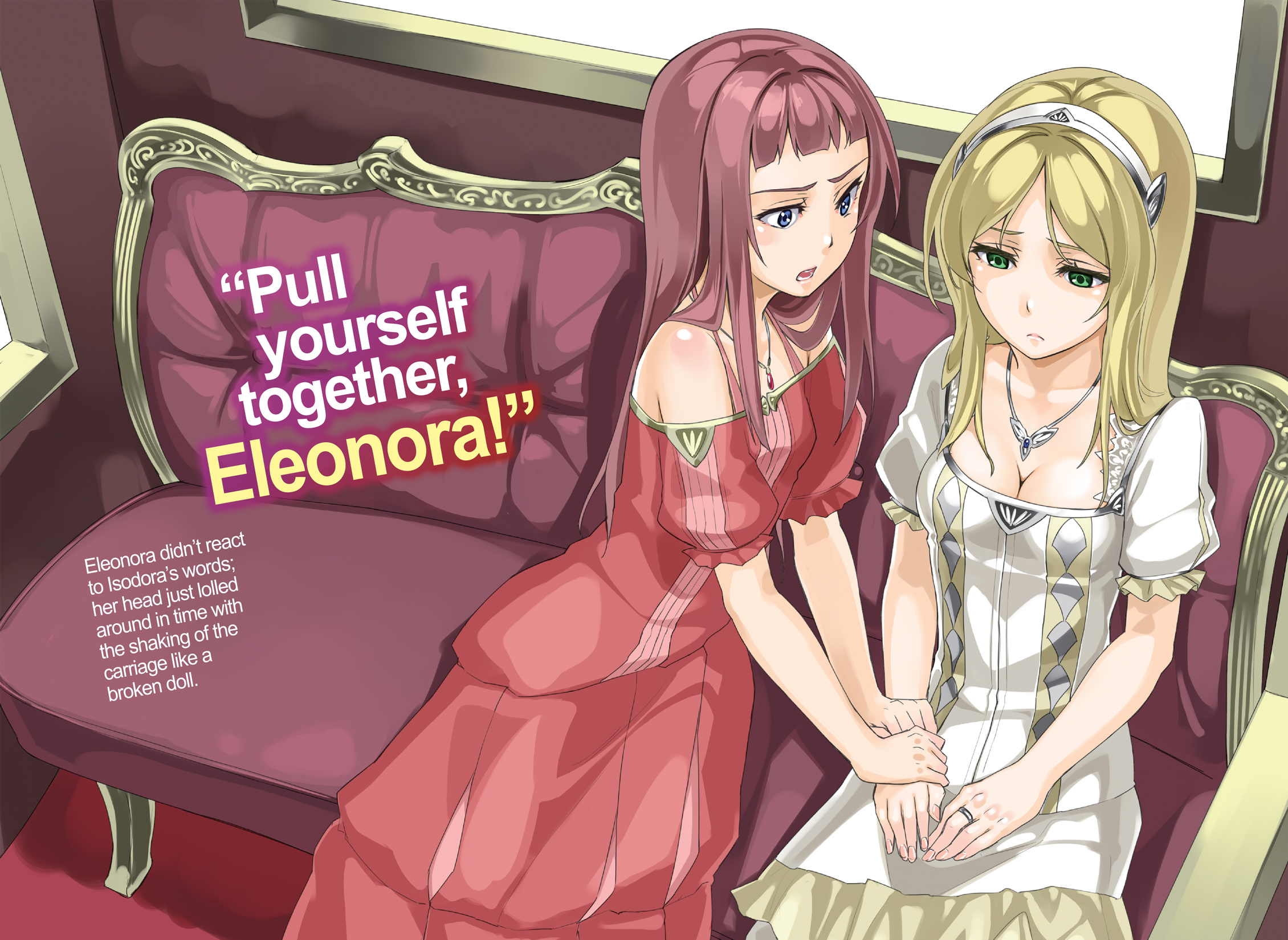 Color Illustrations - 08