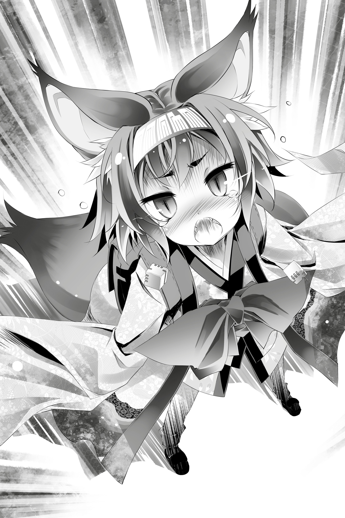 Image - 11