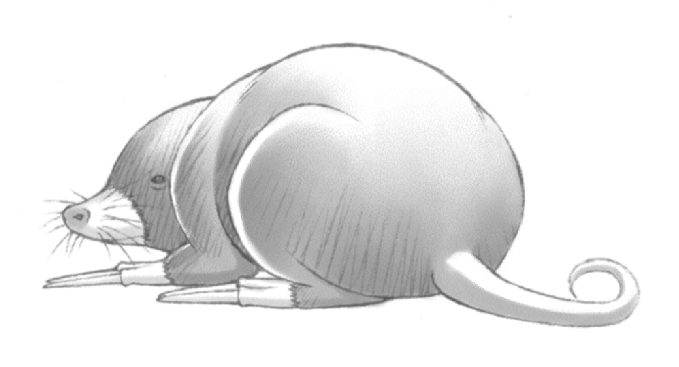 Chapter 5: Tori Peri - 36