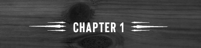 Chapter 1 - 15