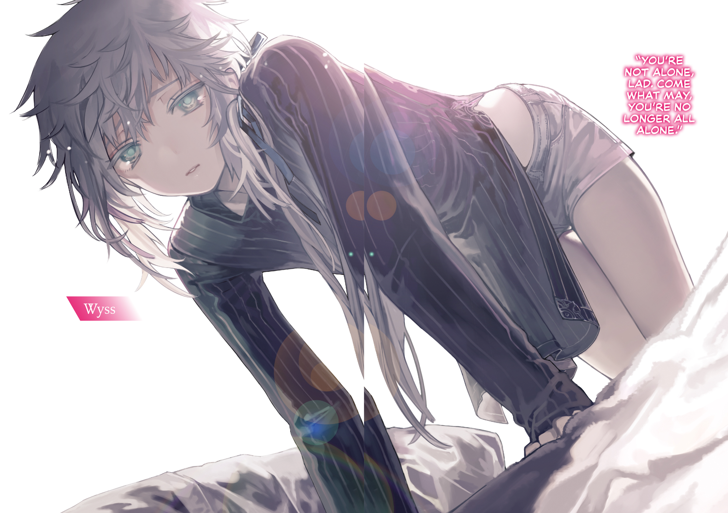 Color Illustrations - 10