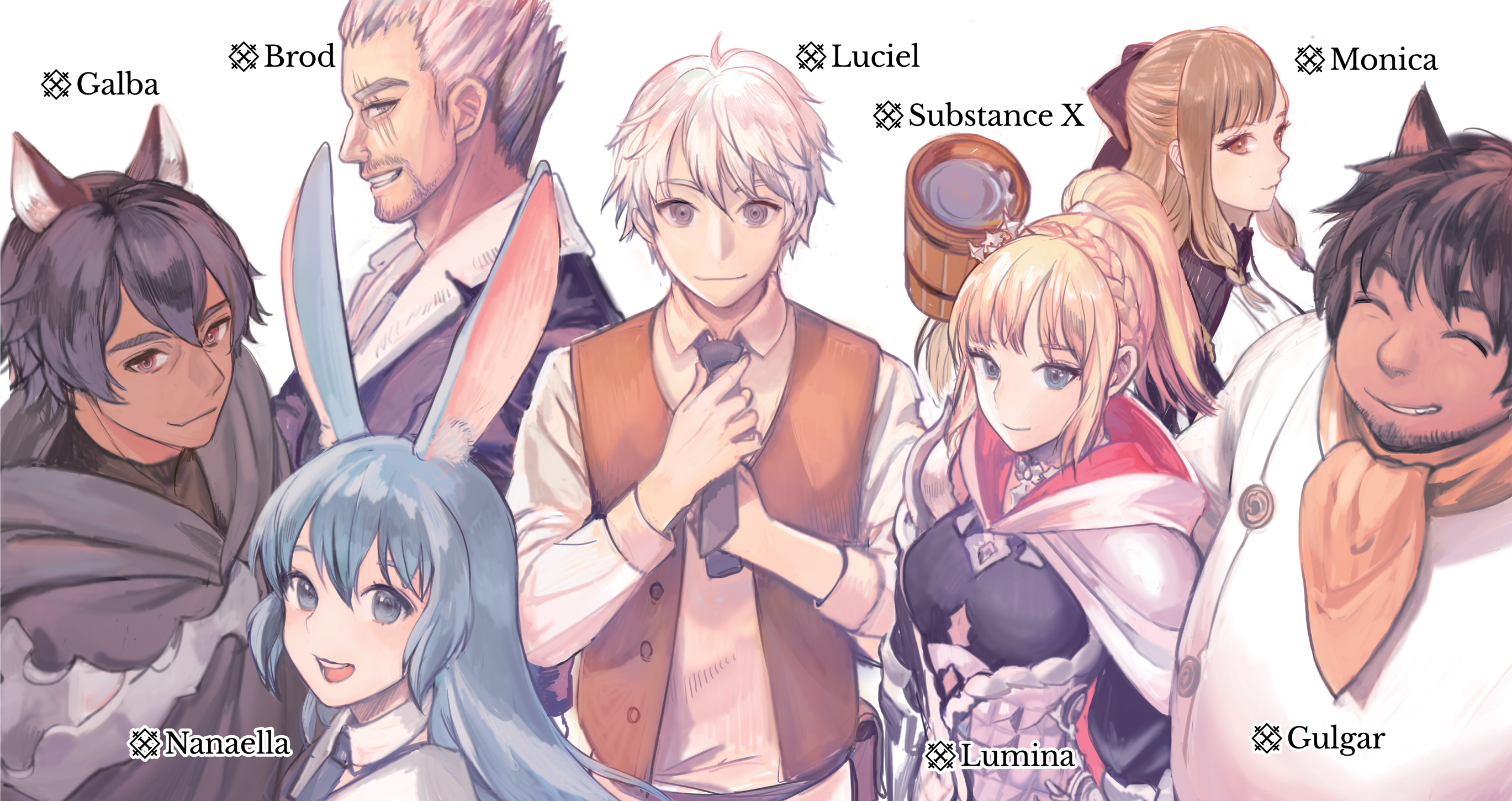 Color Illustrations - 13