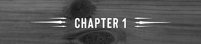 Chapter 1 - 11