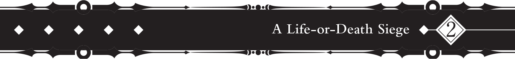 2 A Life-or-Death Siege - 10