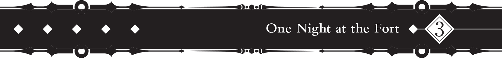 3 One Night at the Fort - 15