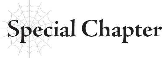 Special Chapter The Struggle of the Pontiff’s Ground Forces - 25