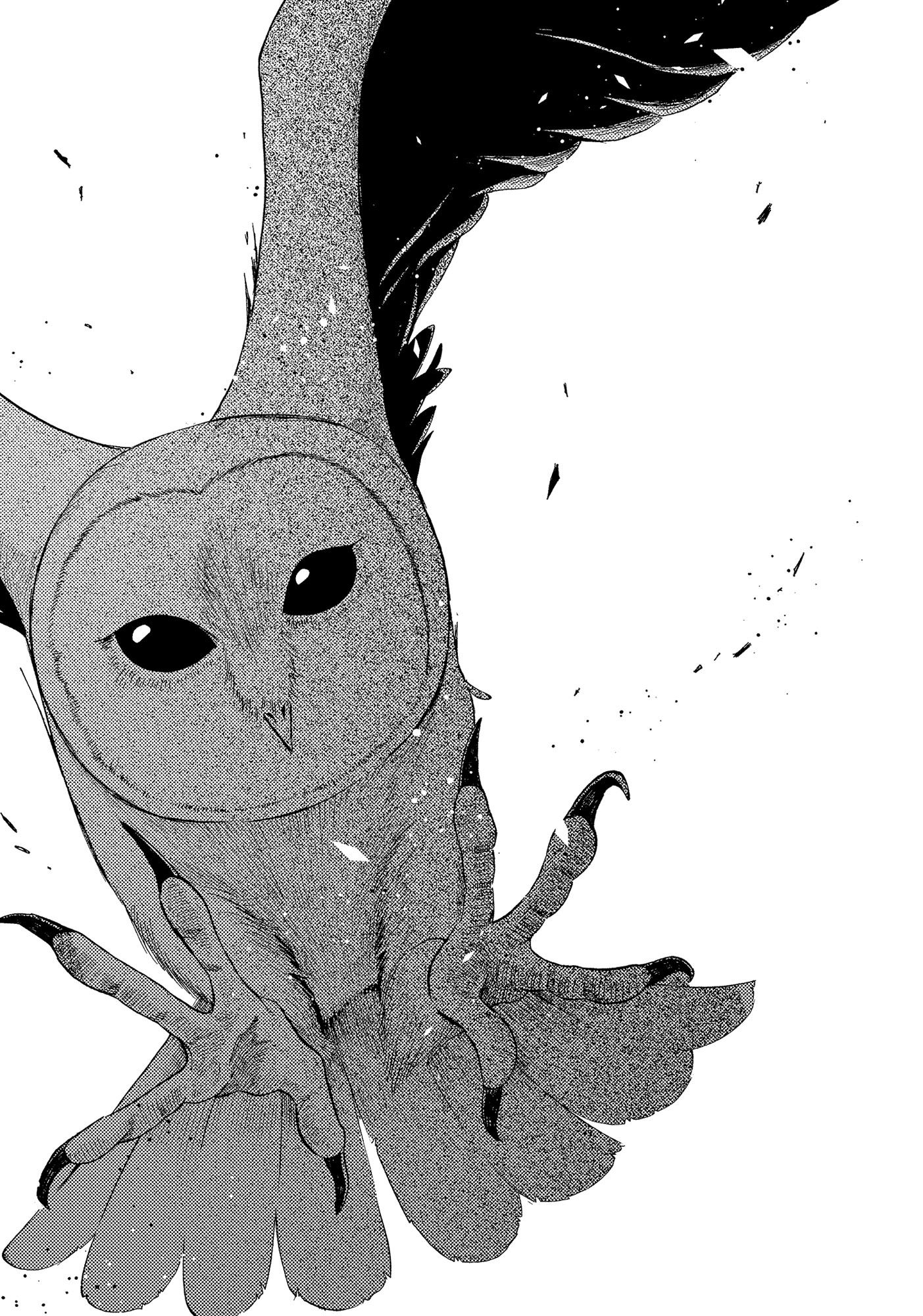 War at the Walshes’ - 03