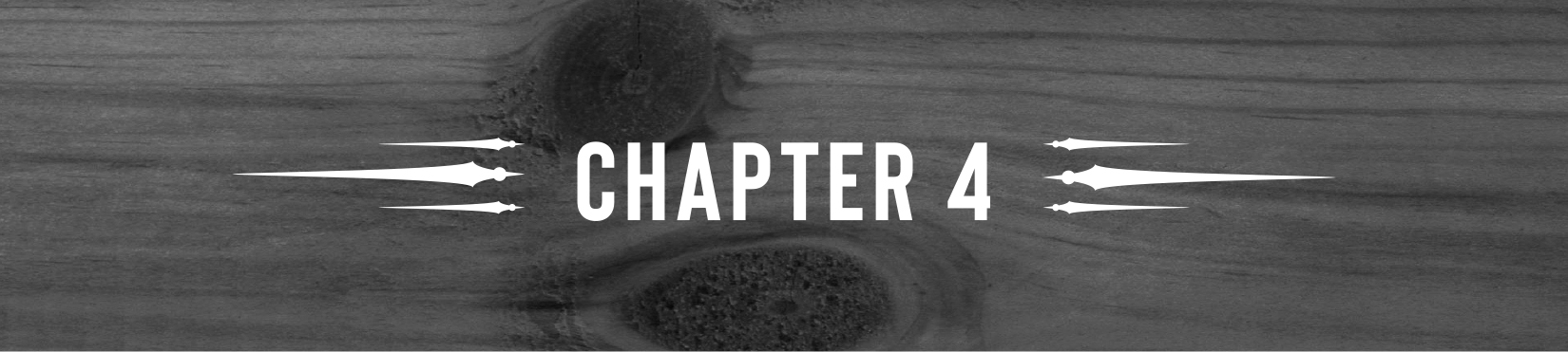 Chapter 4 - 08
