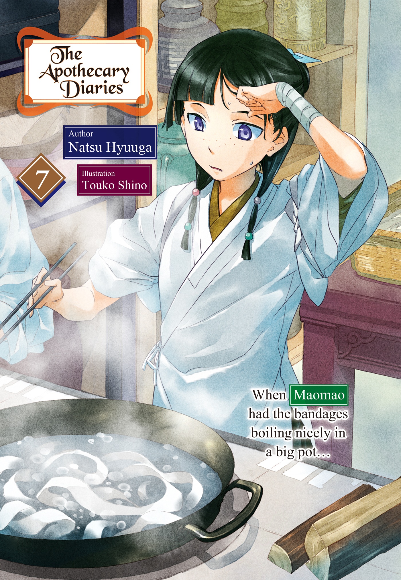 Color Illustrations - 10