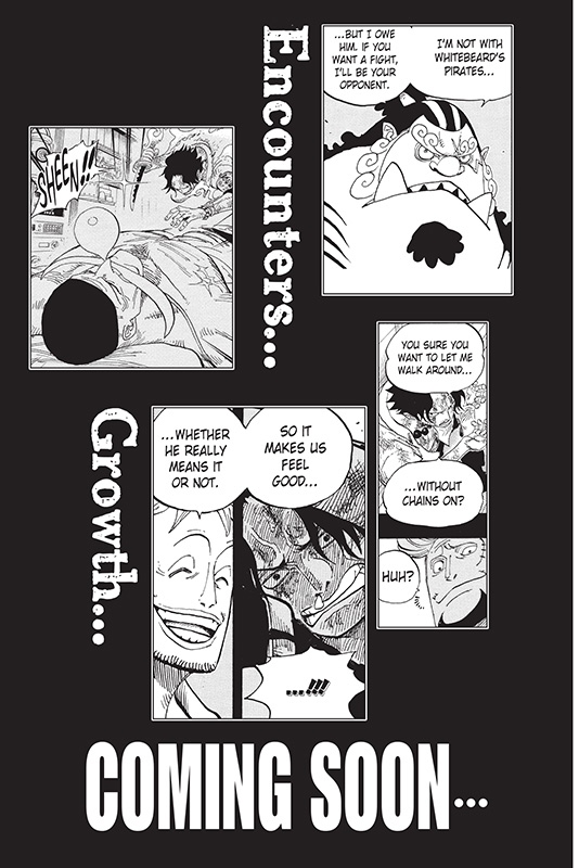 Bonus Pages: Ace's Voyage - 29