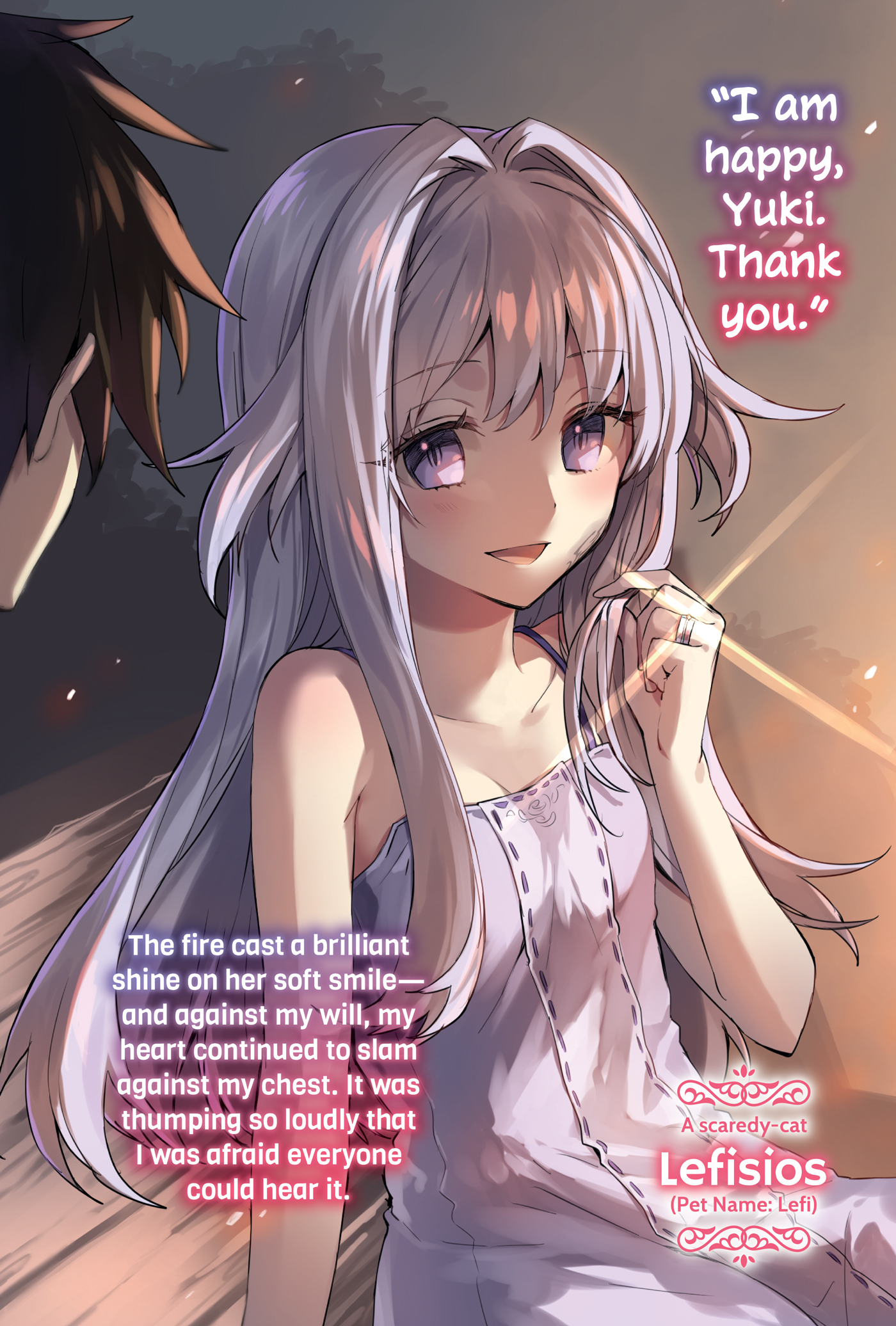 Color Illustrations - 12