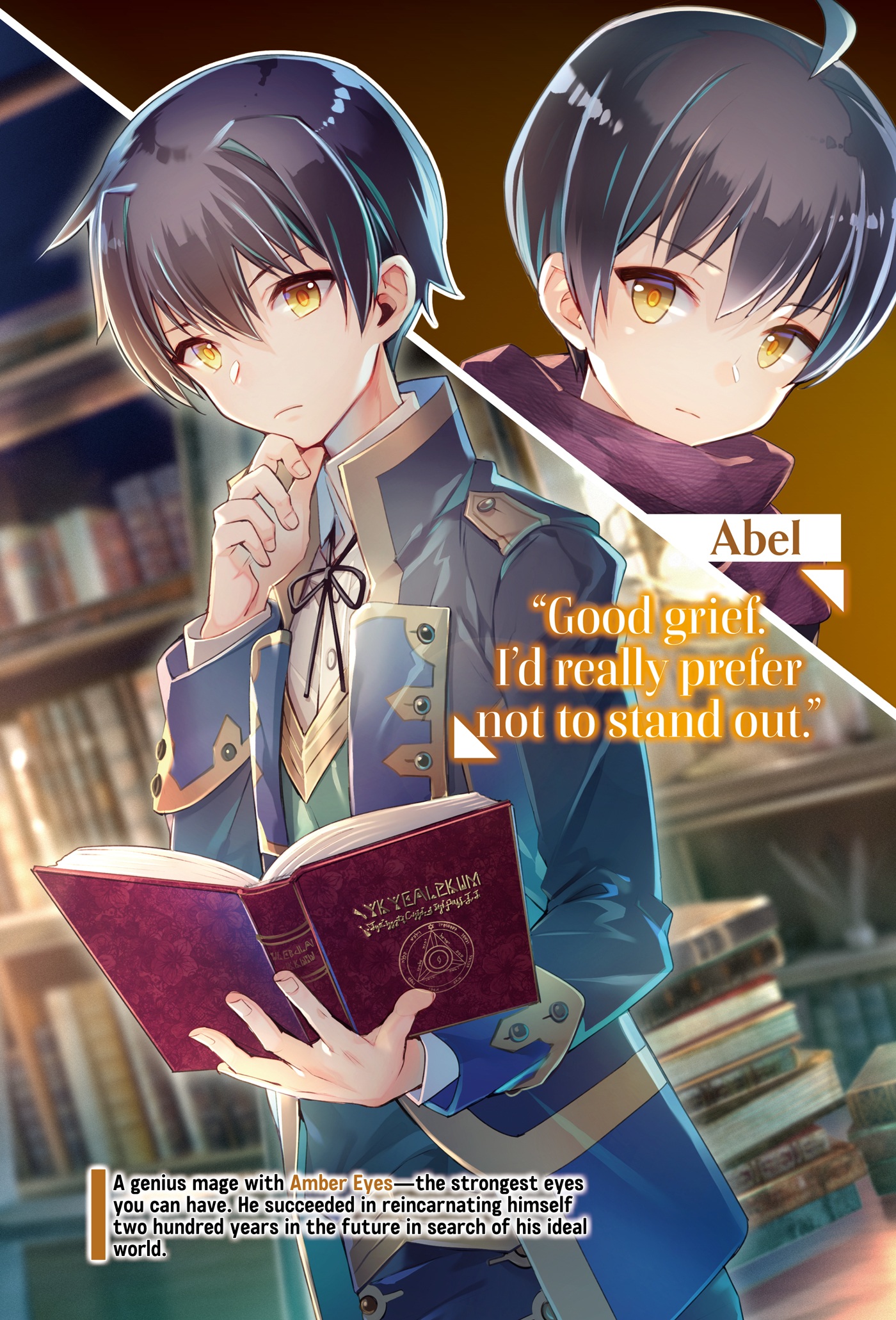 Color Illustrations - 13