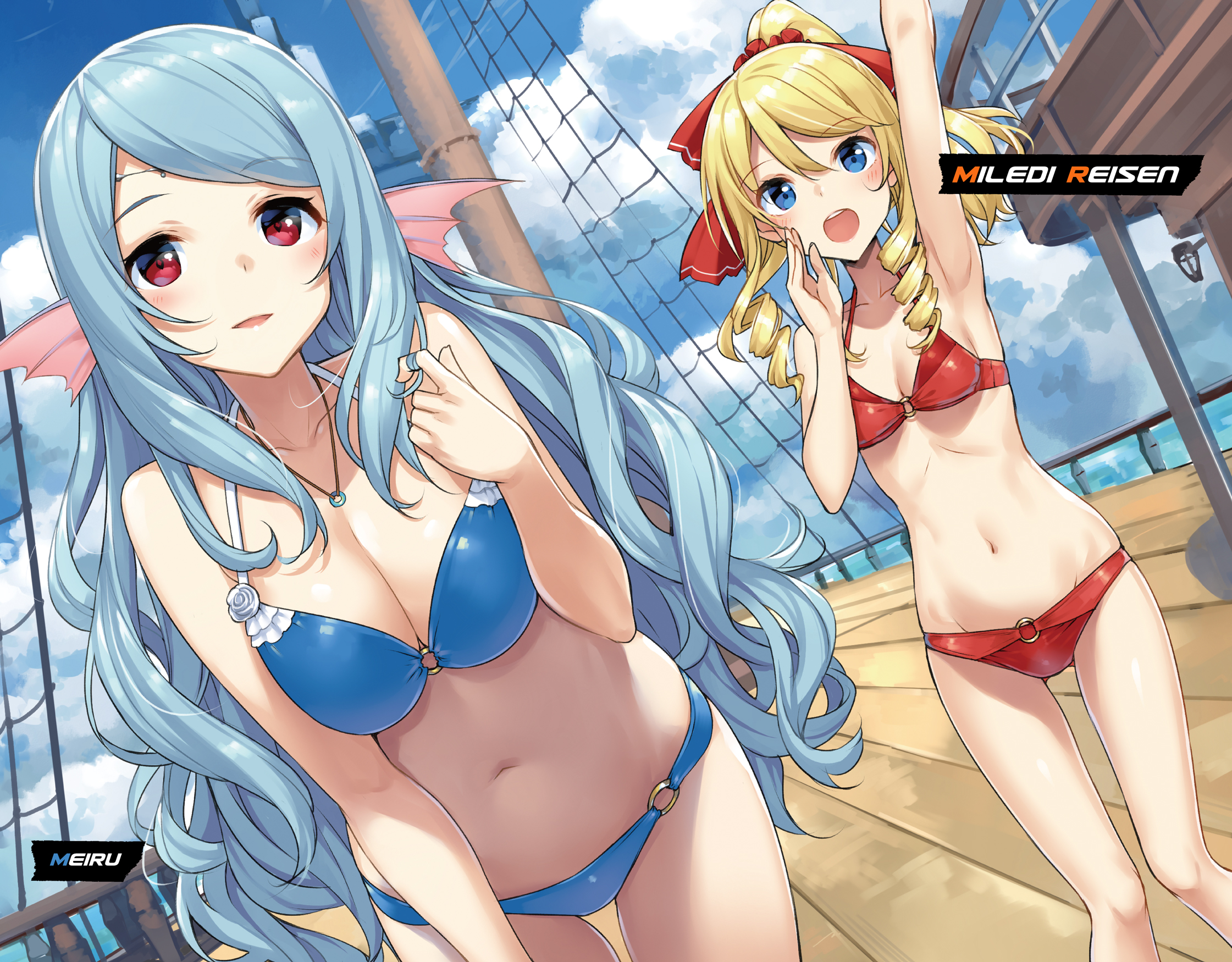 Color Illustrations - 14