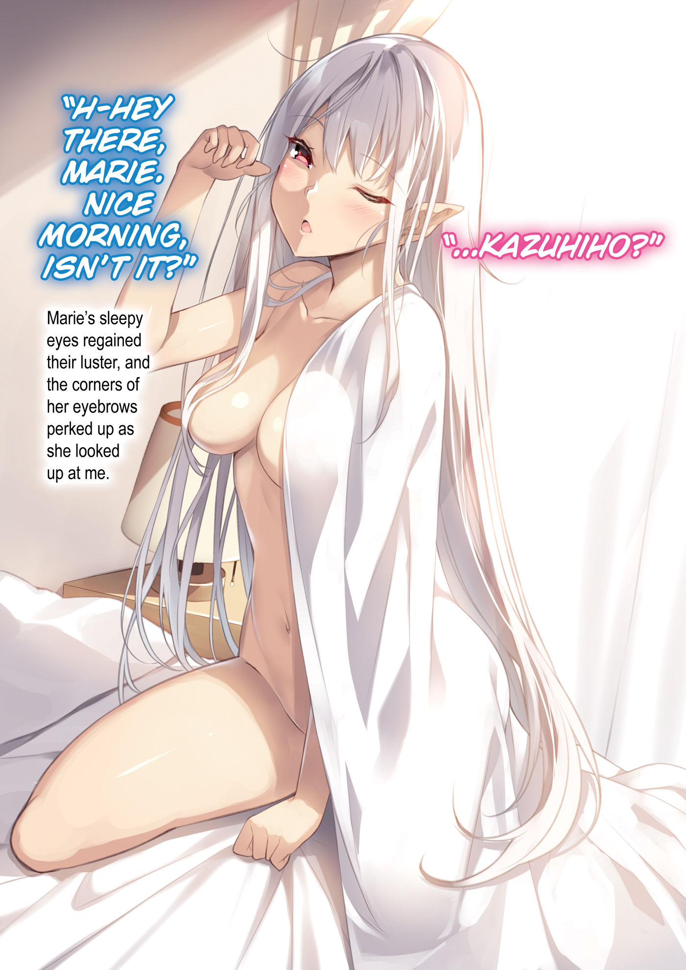 Color Illustrations - 02