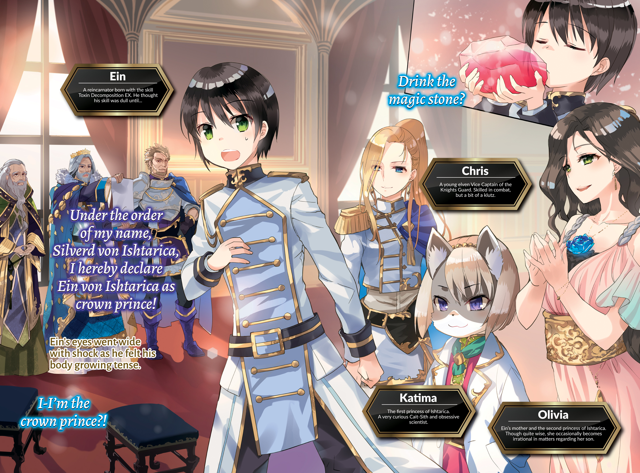 Color Illustrations - 12