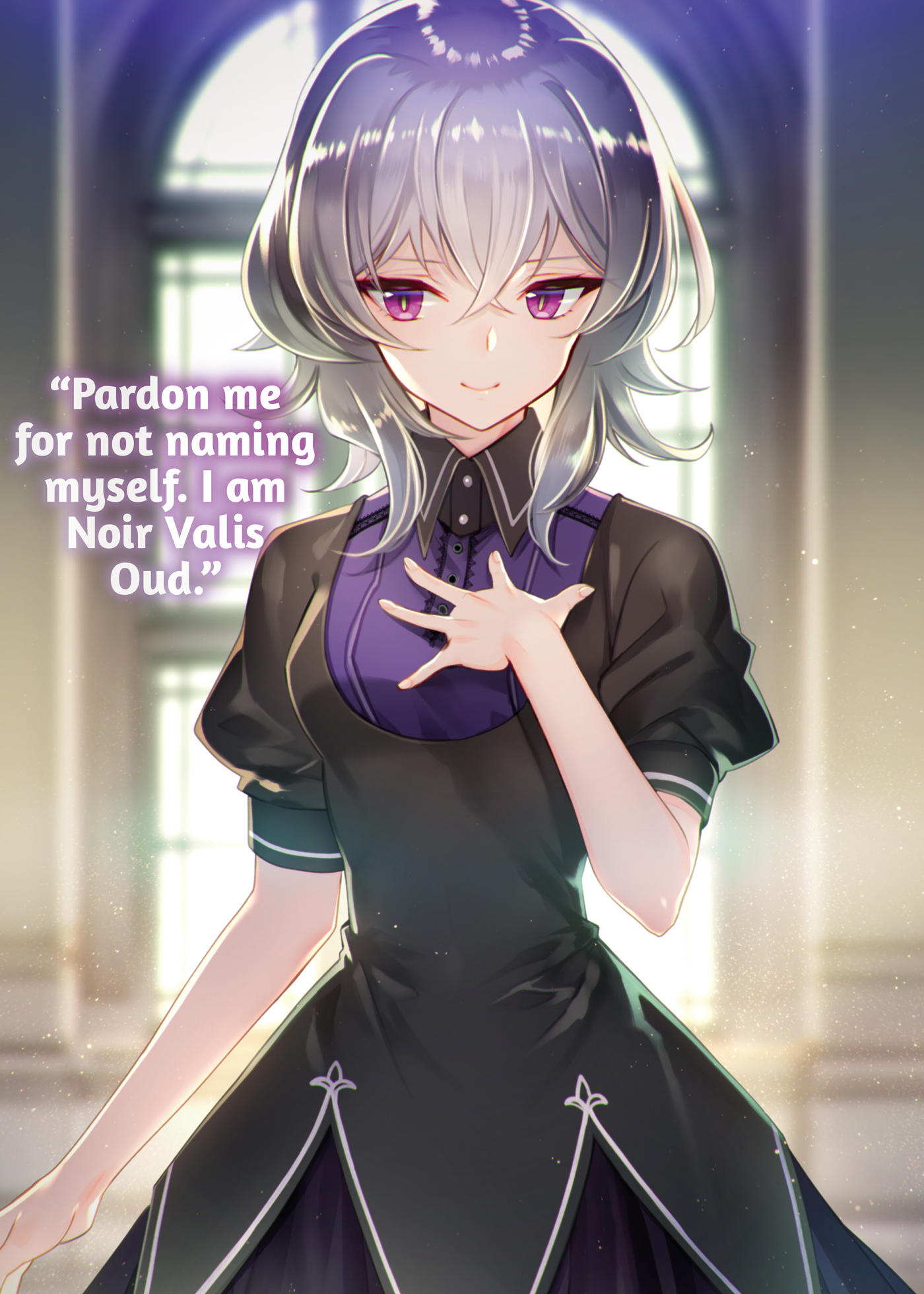 Color Illustrations - 12