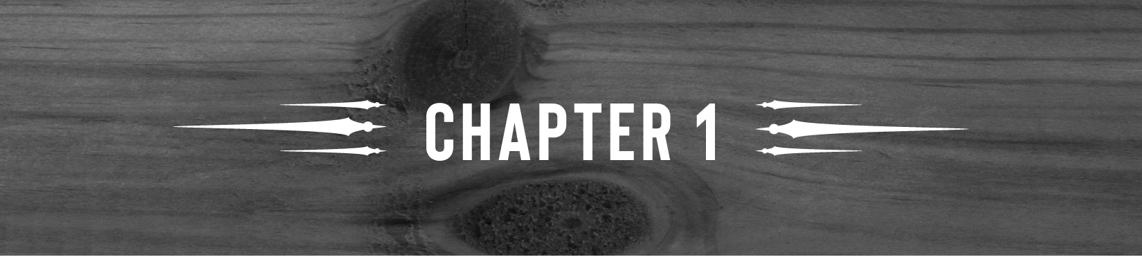 Chapter 1 - 14