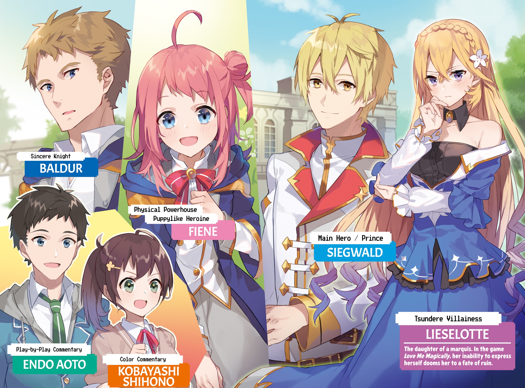 Color Illustrations - 12