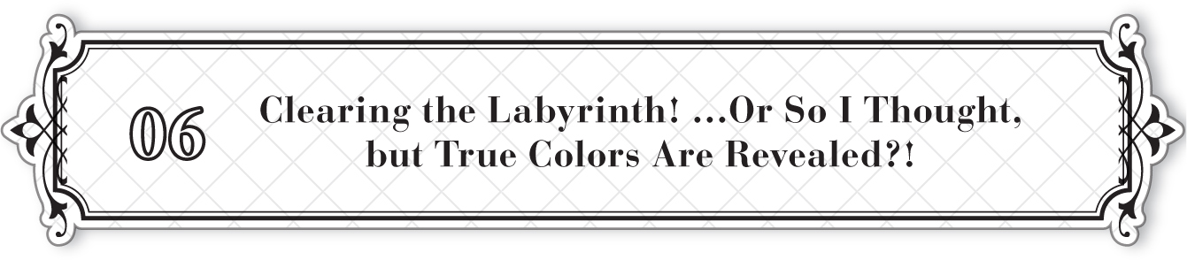 06: Clearing the Labyrinth! …Or So I Thought, but True Colors Are Revealed?! - 38