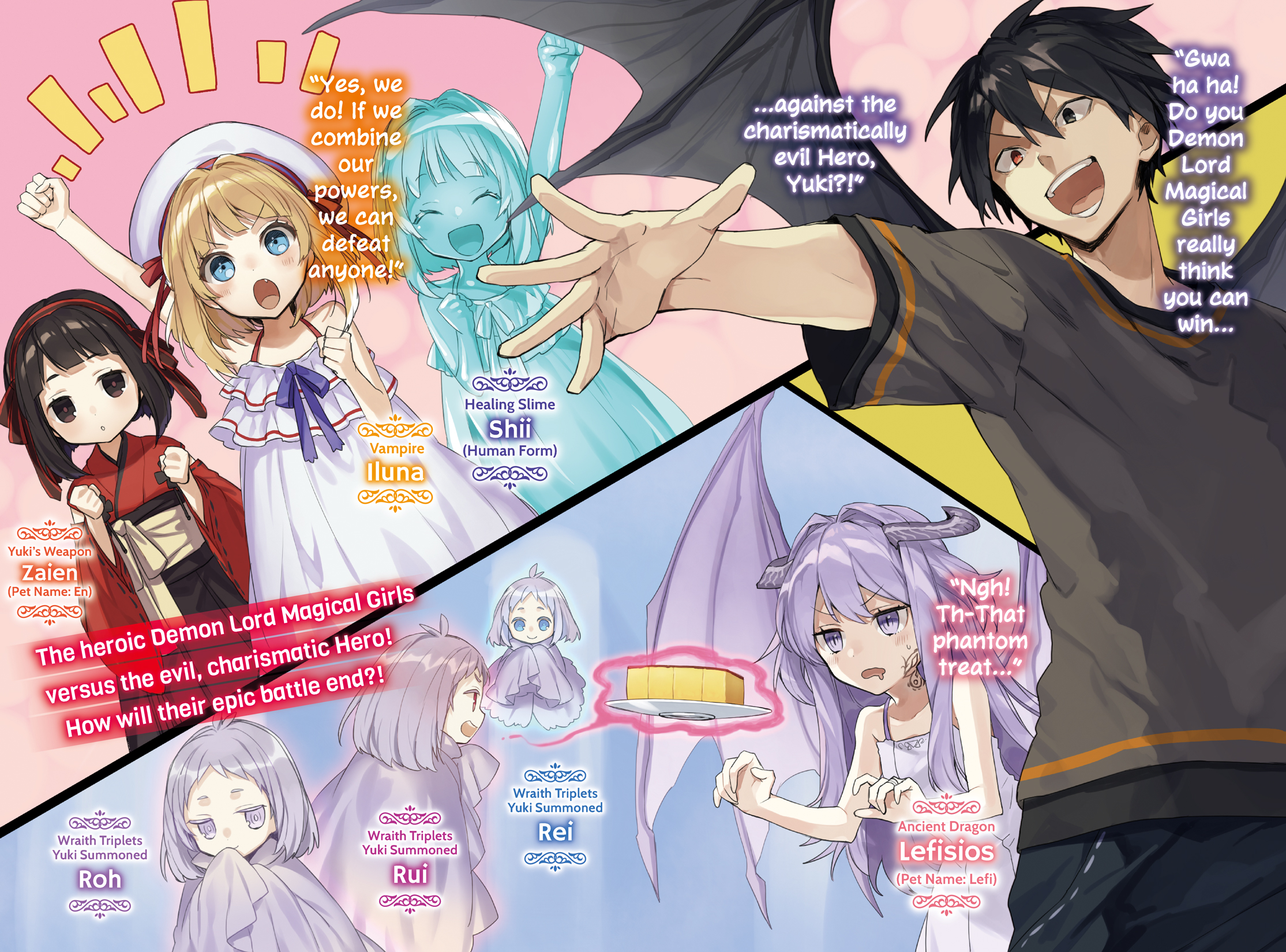 Color Illustrations - 12