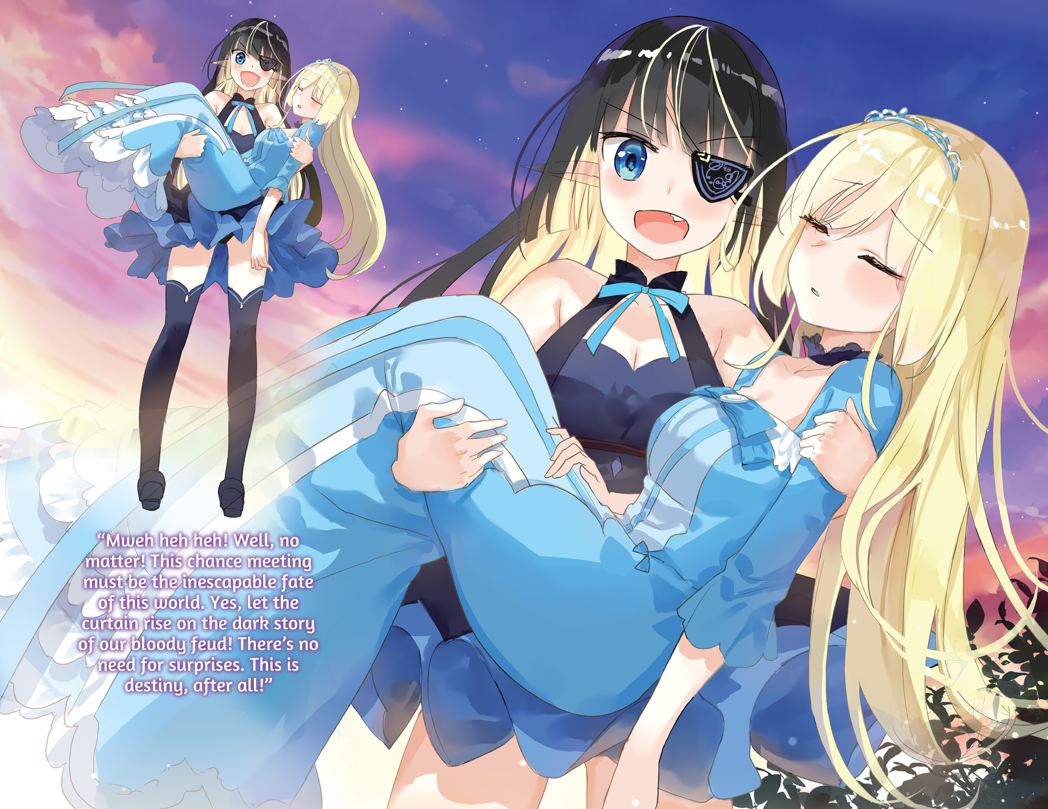 Color Illustrations - 12