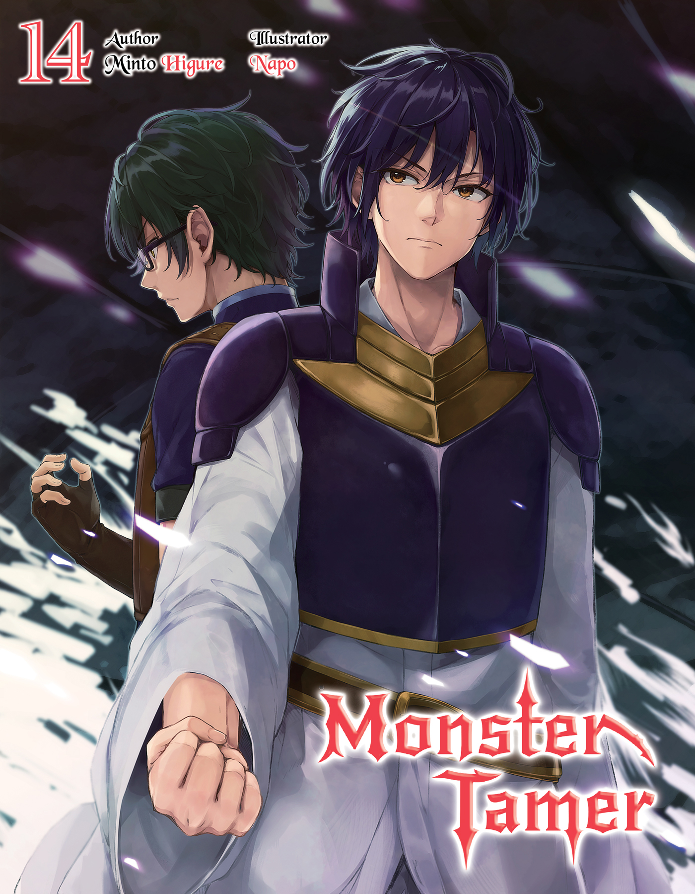 Color Illustrations - 13