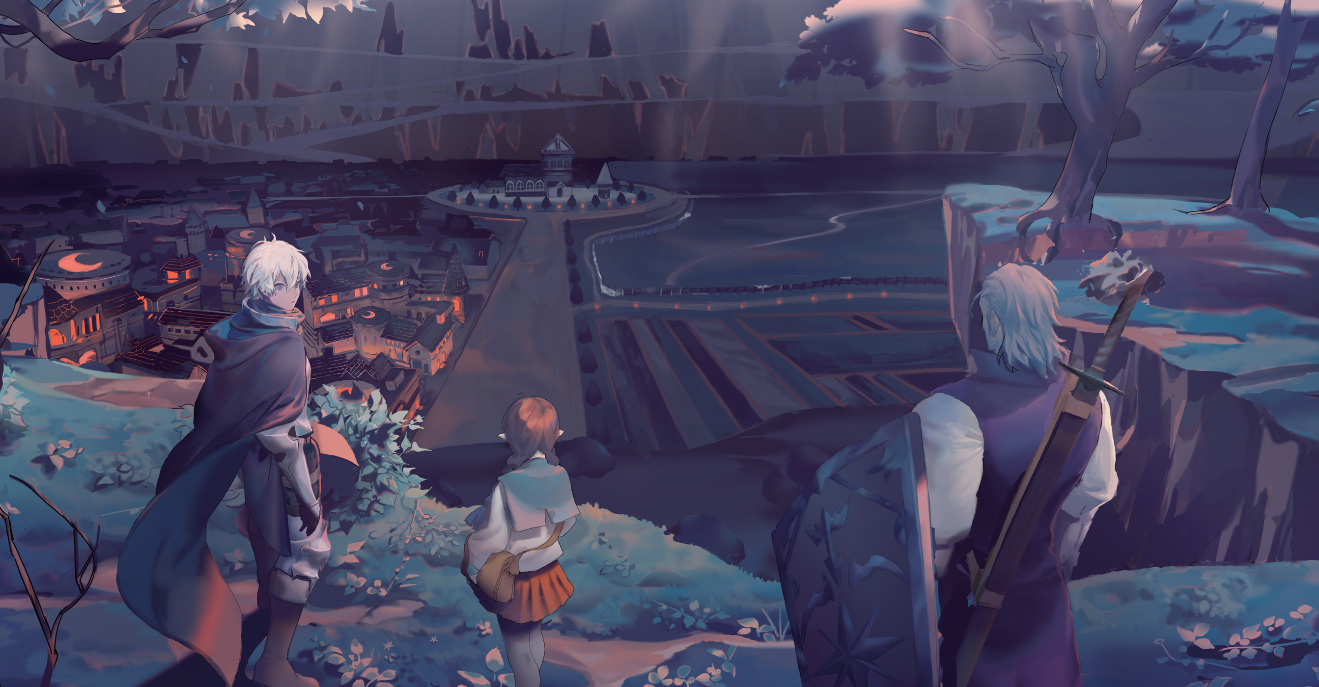 Color Illustrations - 12