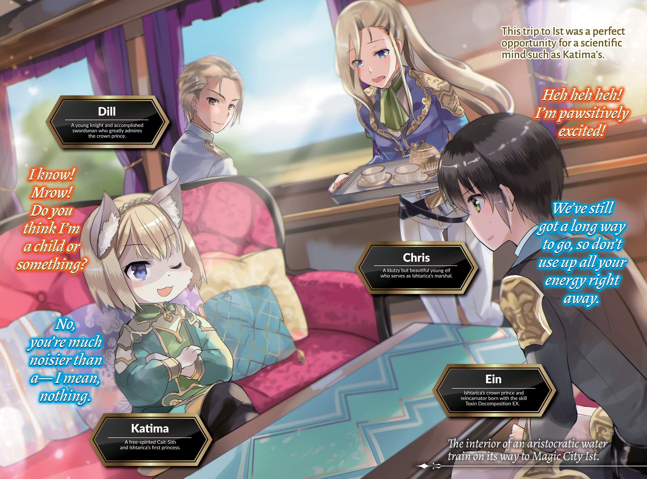 Color Illustrations - 12