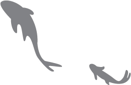 Prologue: The Story I Heard from You - 03