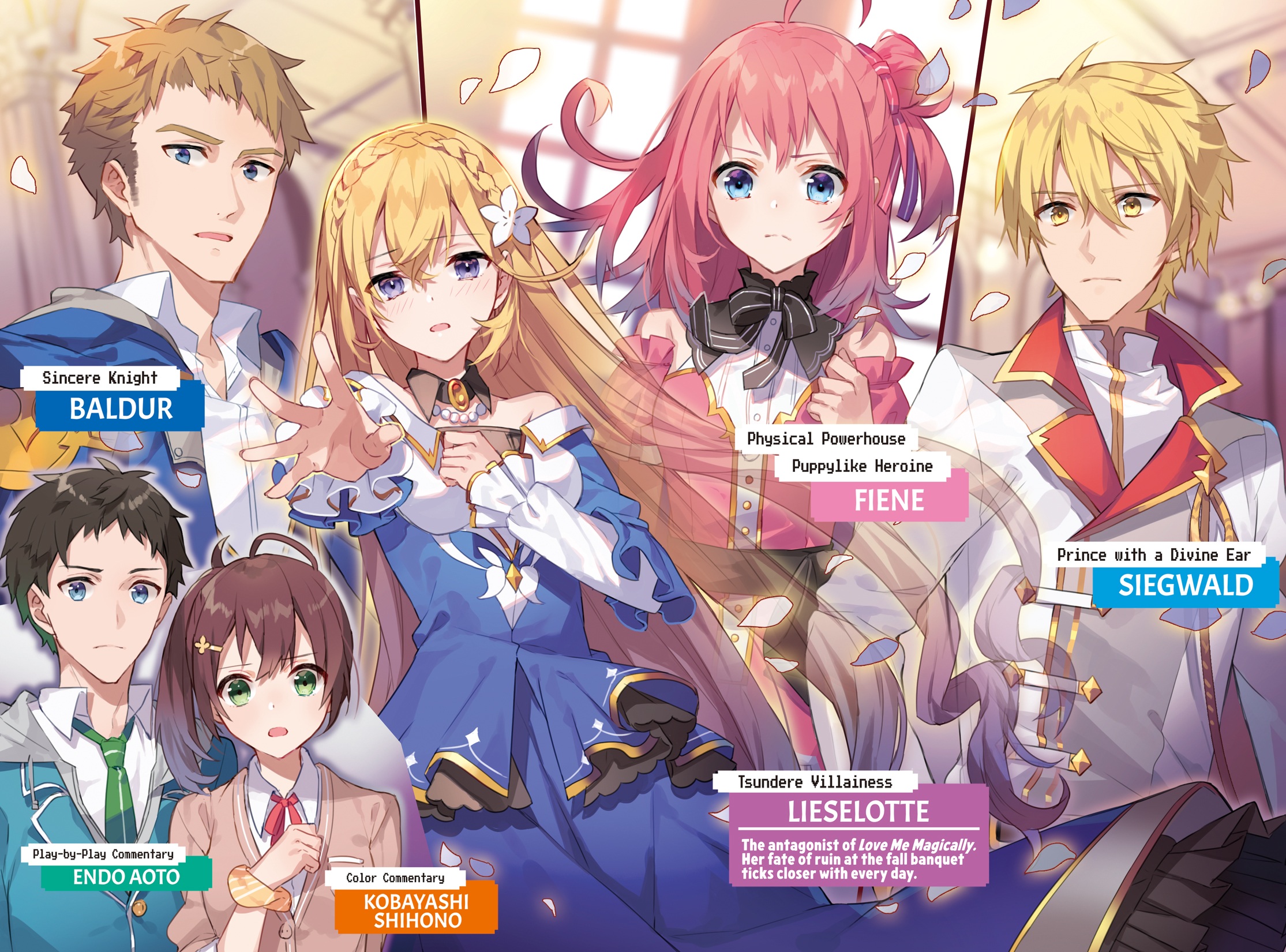 Color Illustrations - 13