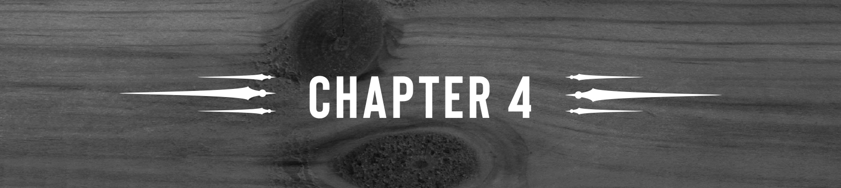 Chapter 4 - 08