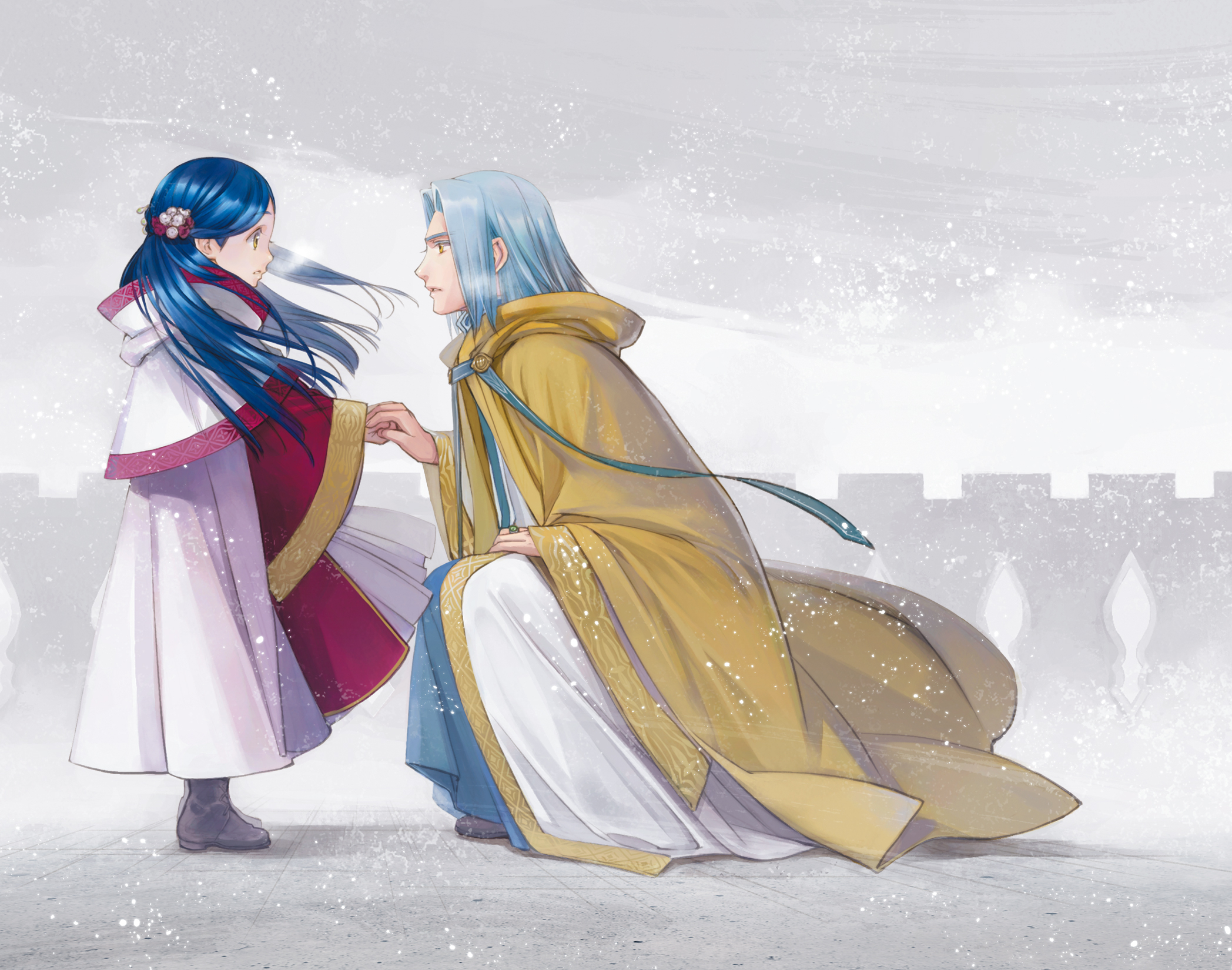 Color Illustrations - 02