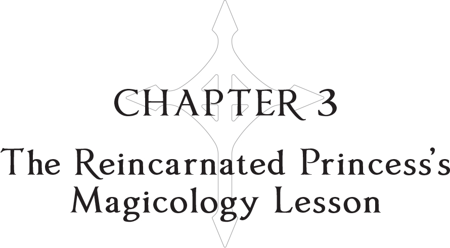 Chapter 3: The Reincarnated Princess’s Magicology Lesson - 24