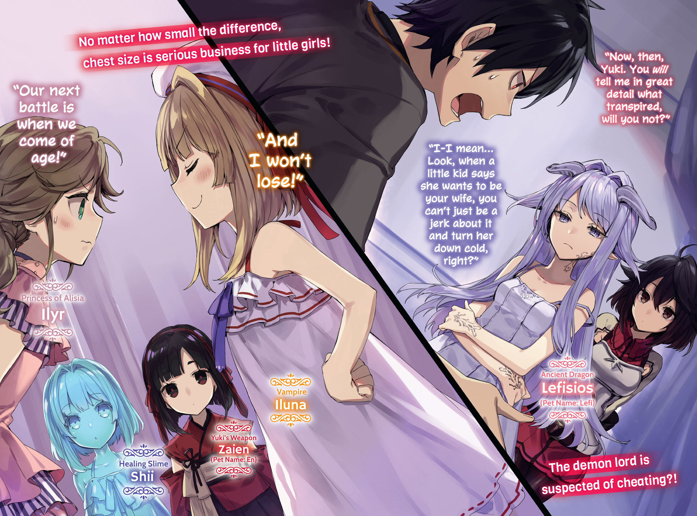 Color Illustrations - 12