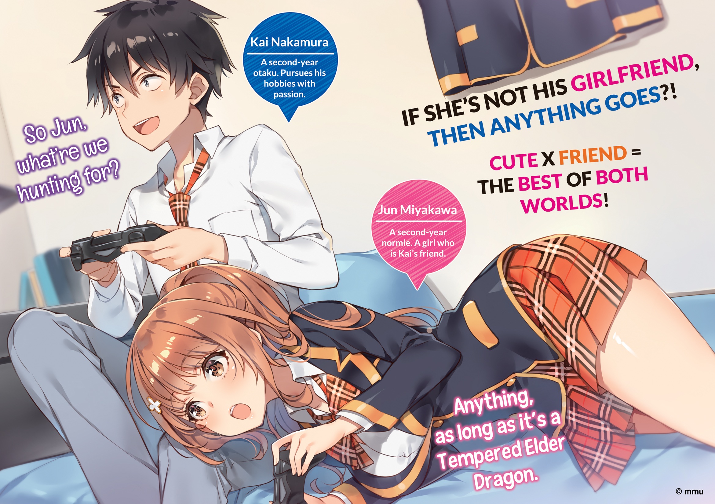 Color Illustrations - 12