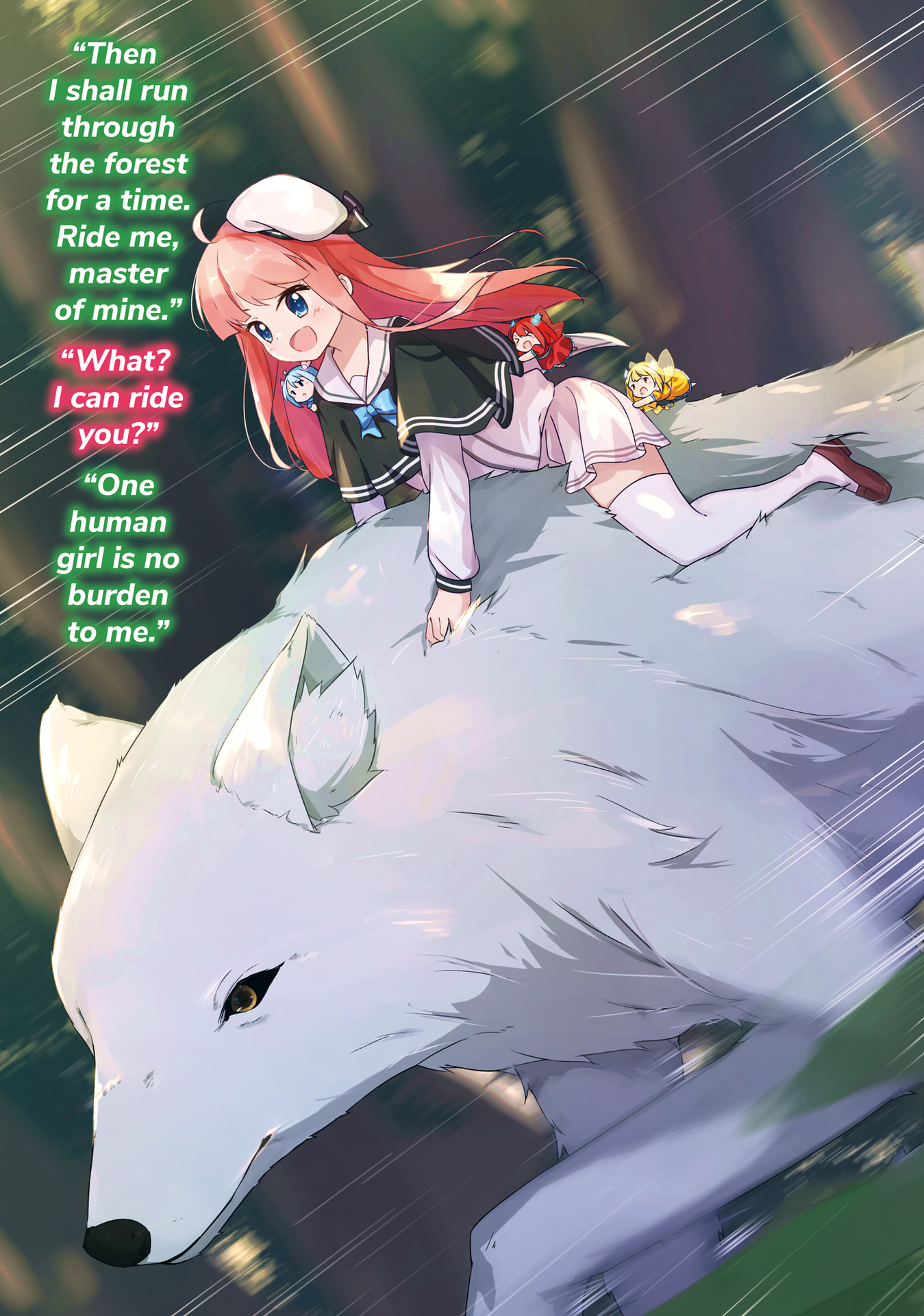 Color Illustrations - 12