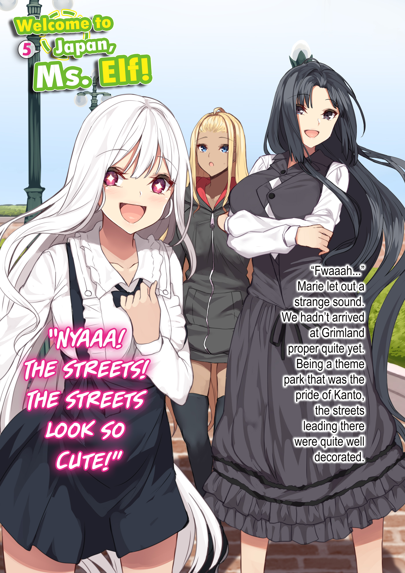 Color Illustrations - 12