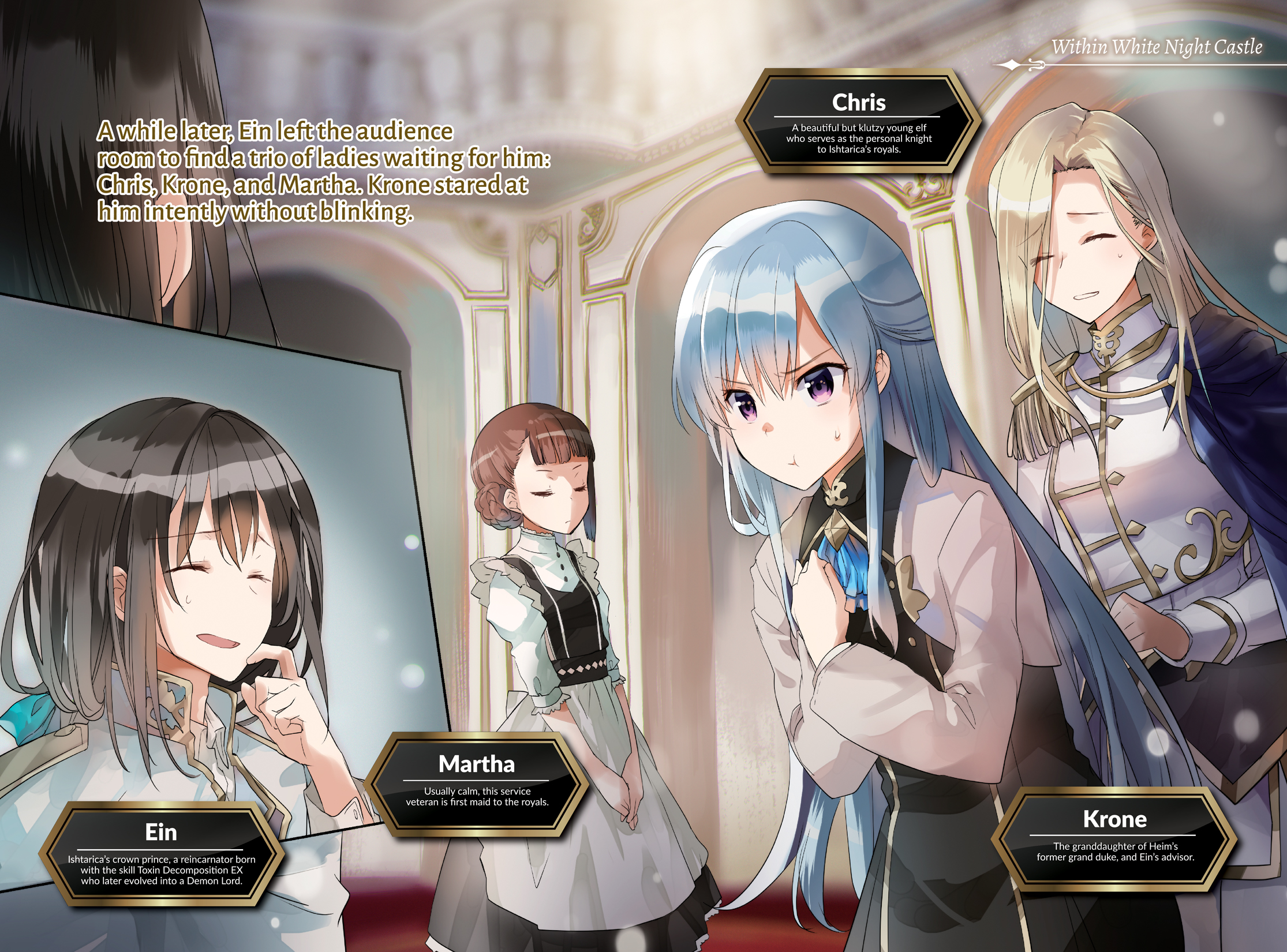 Color Illustrations - 12