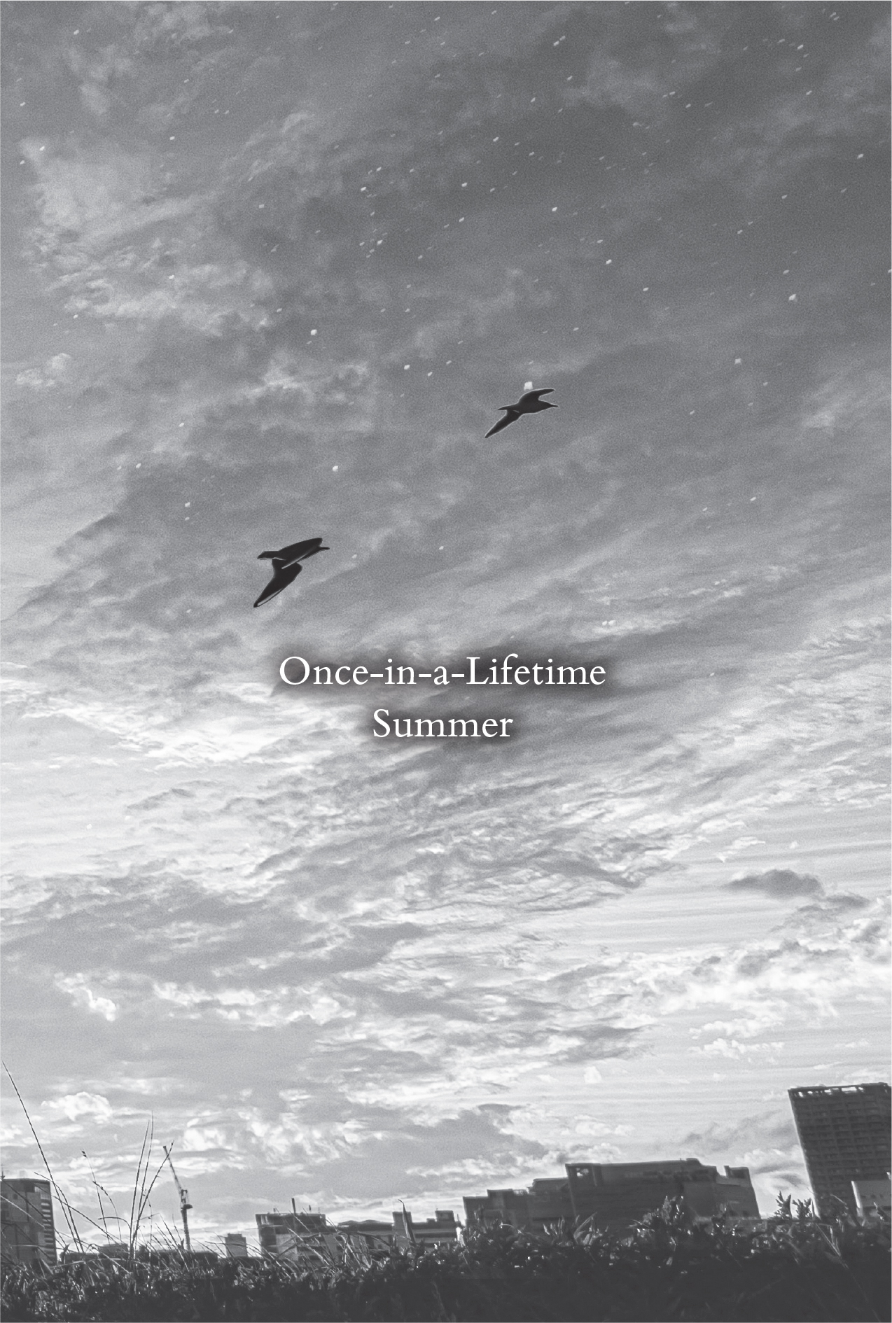 Walking Side by Side - 04