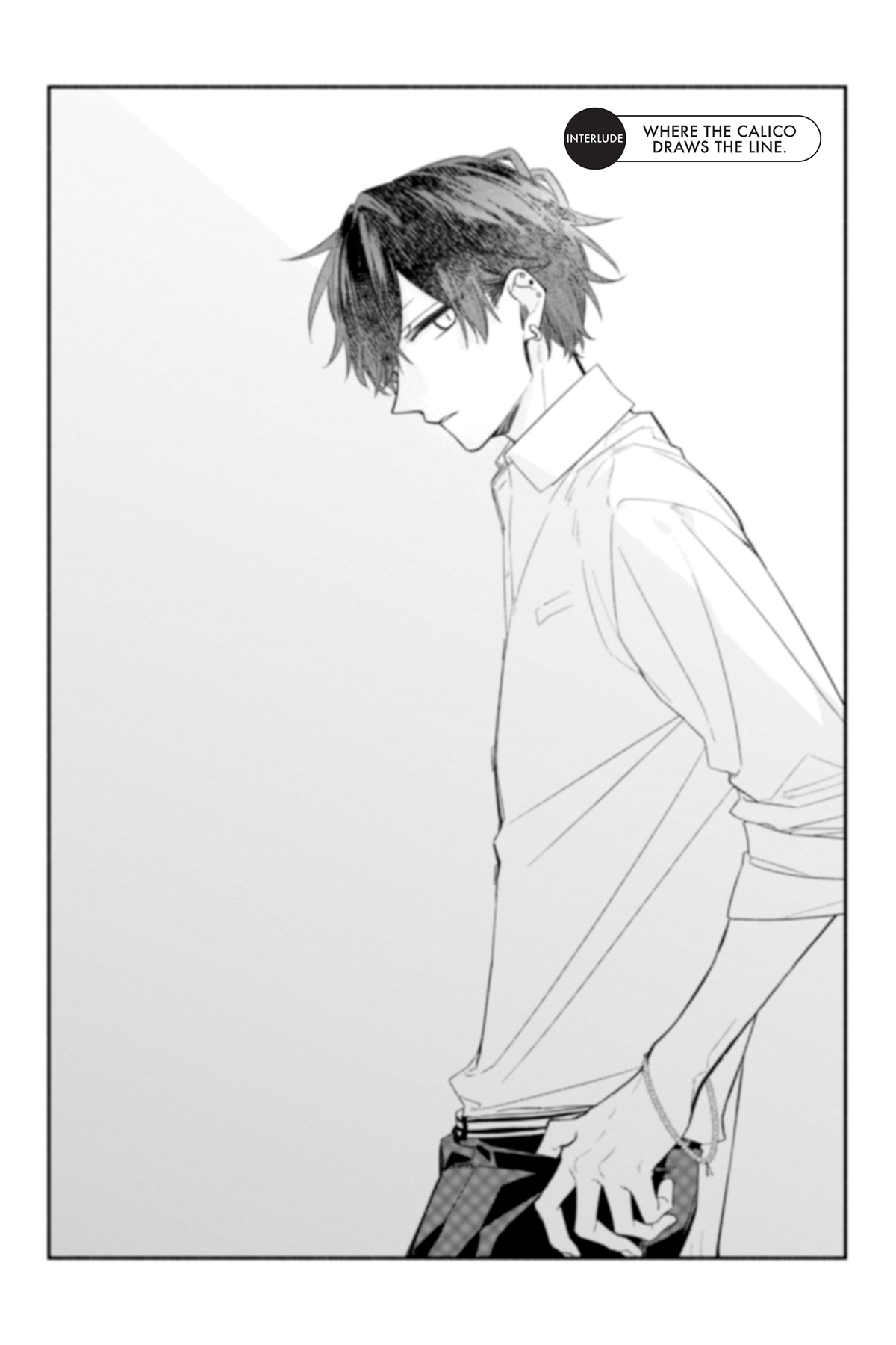 Interlude: Where the Calico Draws the Line. - 37