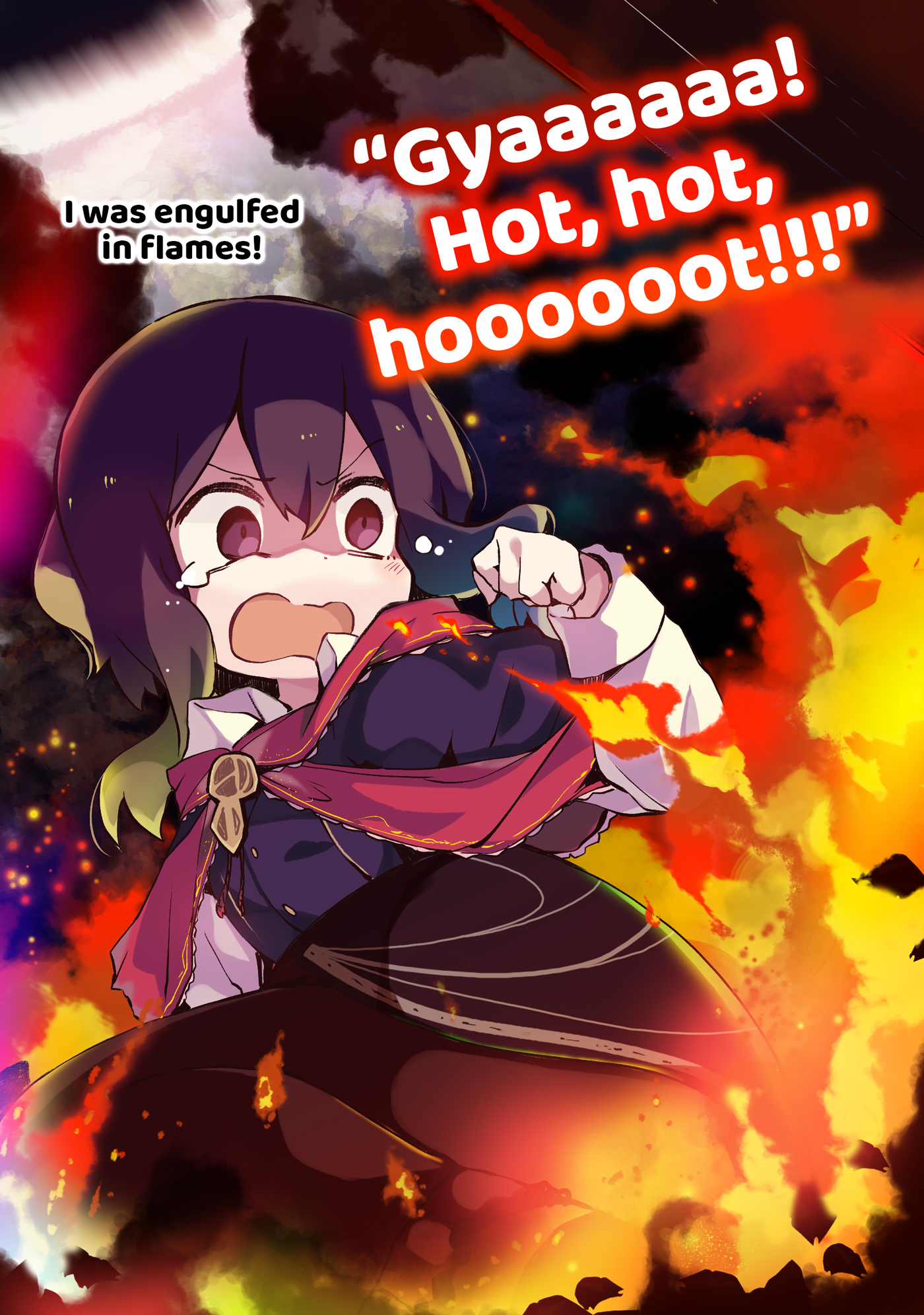 Color Illustrations - 30