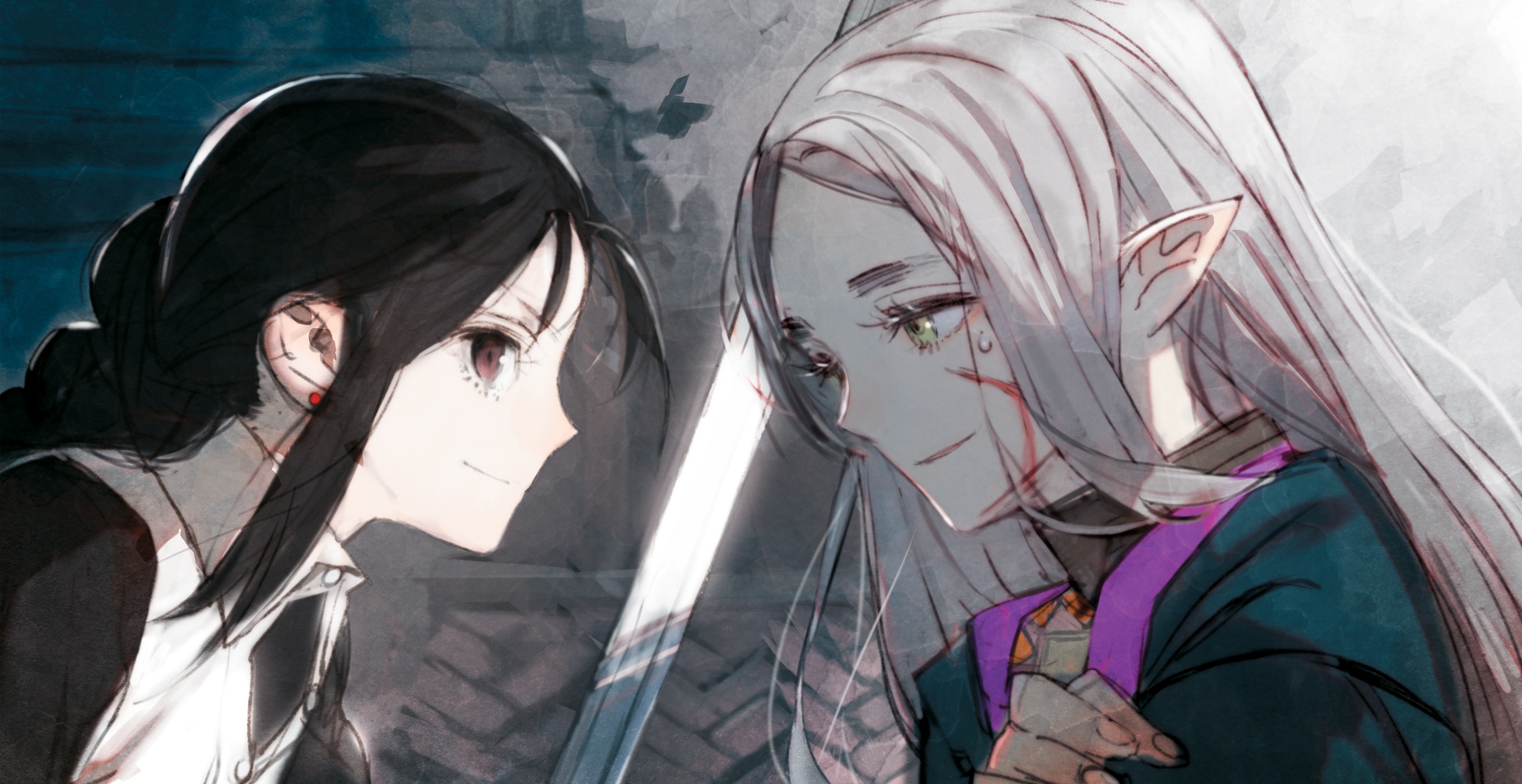 Color Illustrations - 14