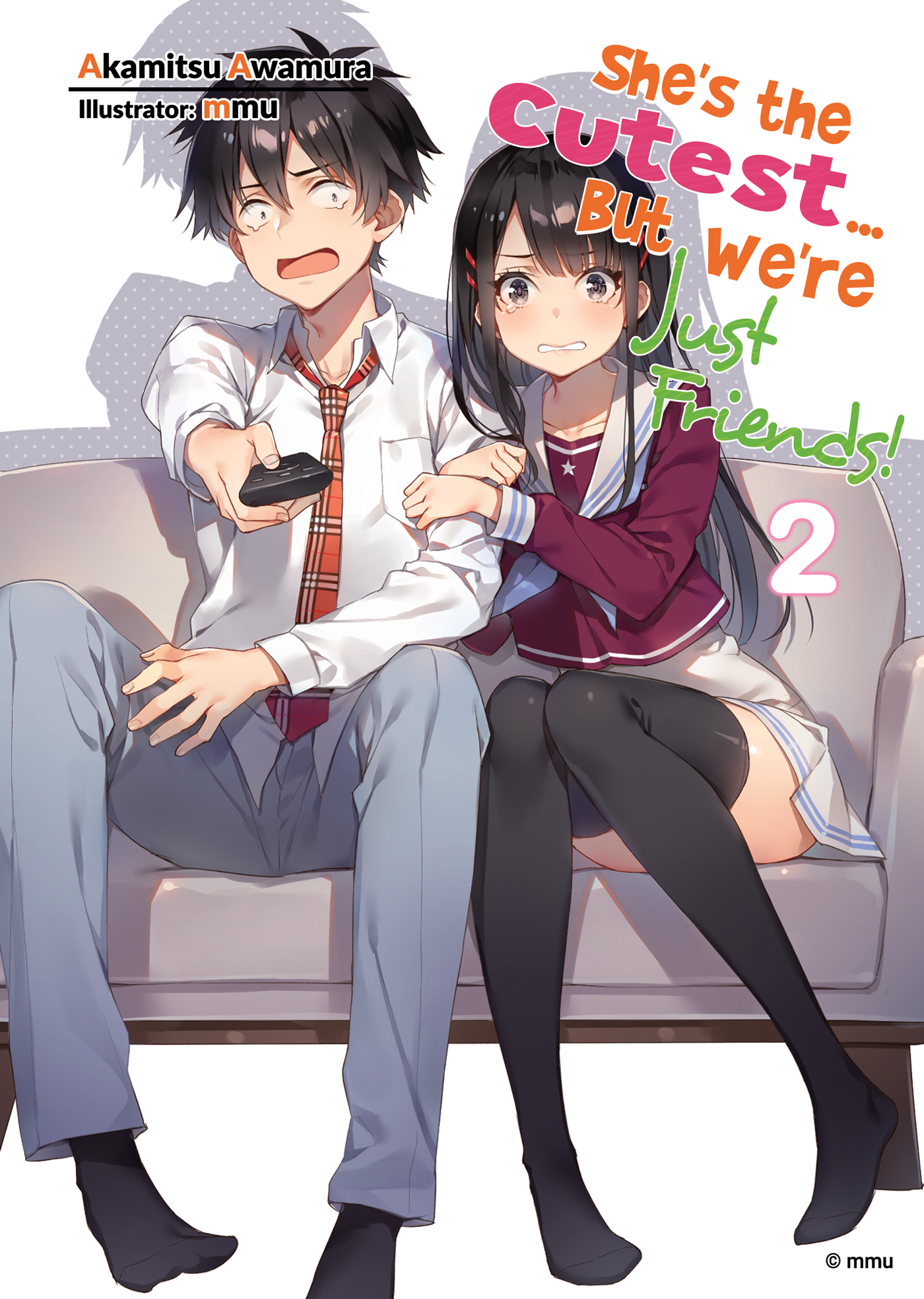 Color Illustrations - 12