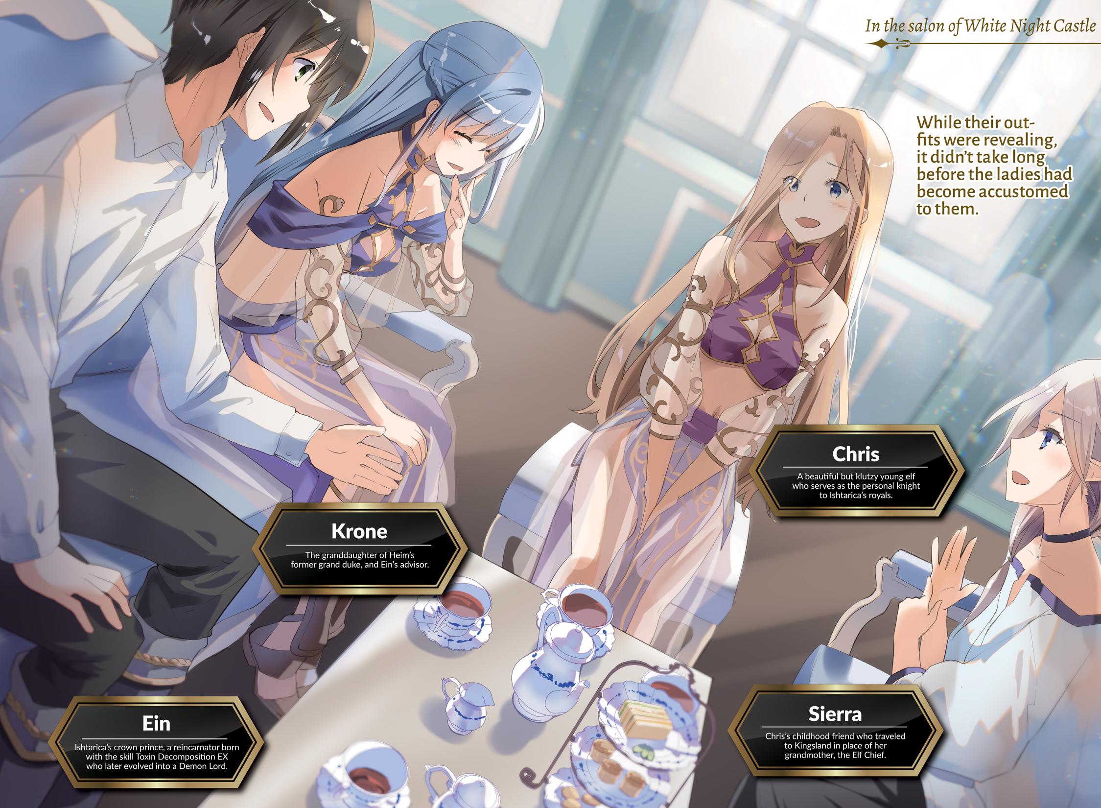 Color Illustrations - 12