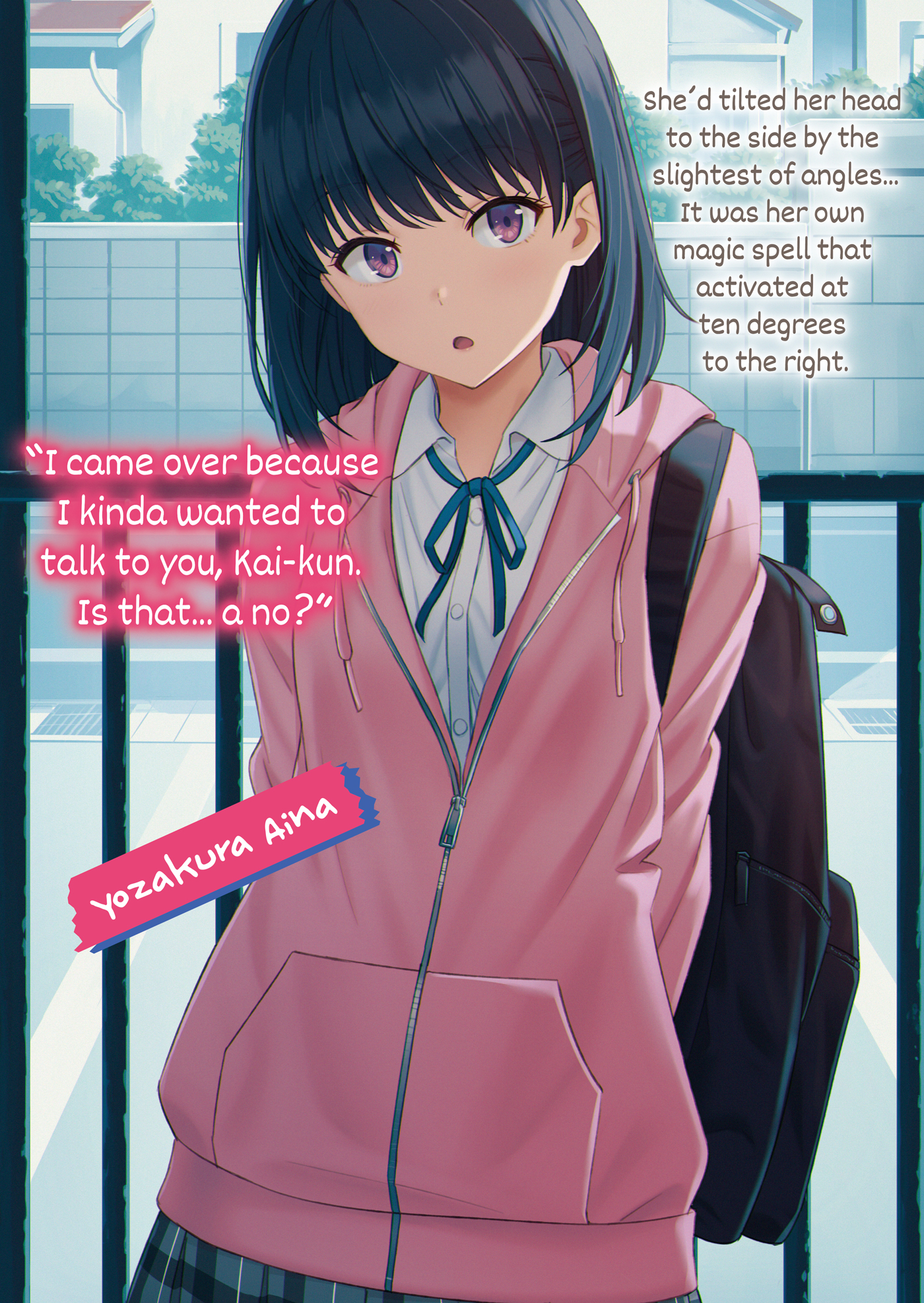 Color Illustrations - 13