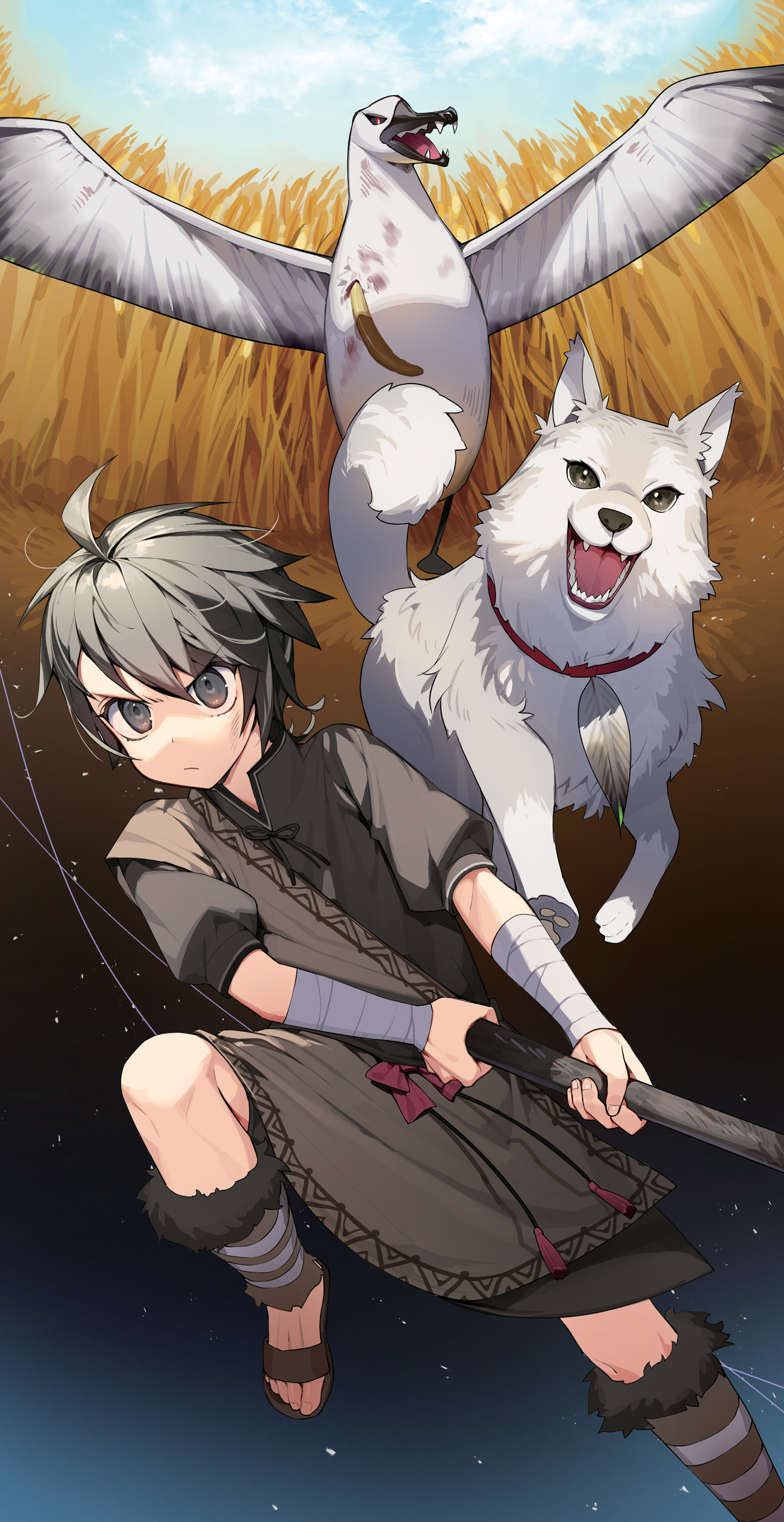 Color Illustrations - 13