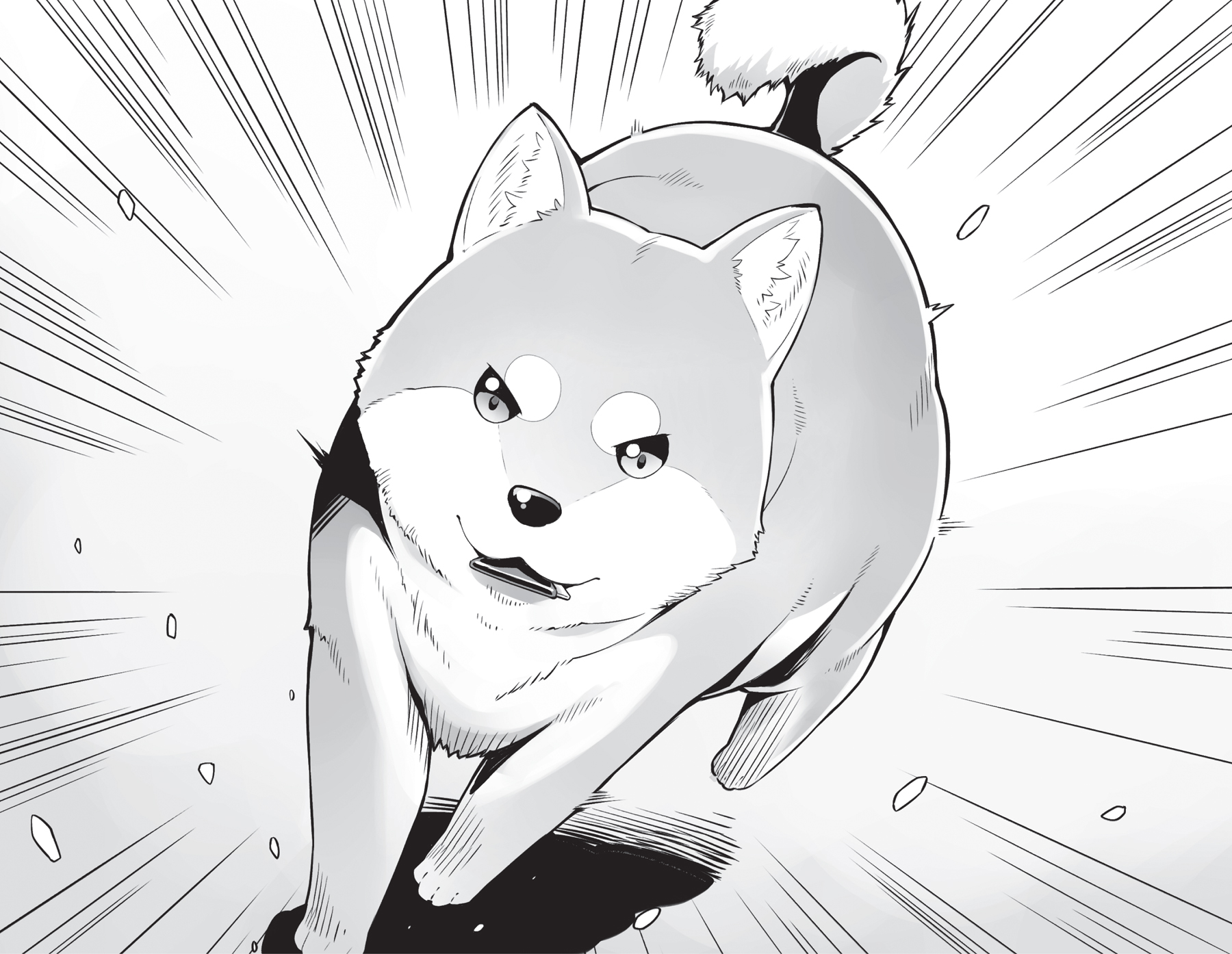 1. The First Case - 04