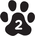 1. The First Case - 05